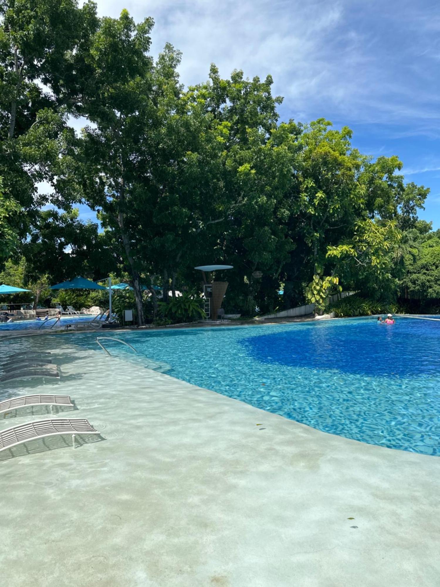 14Dc Tambuli Seaside Living Lejlighed Lapu-Lapu City Eksteriør billede